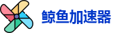 鲸鱼加速器vip破解版